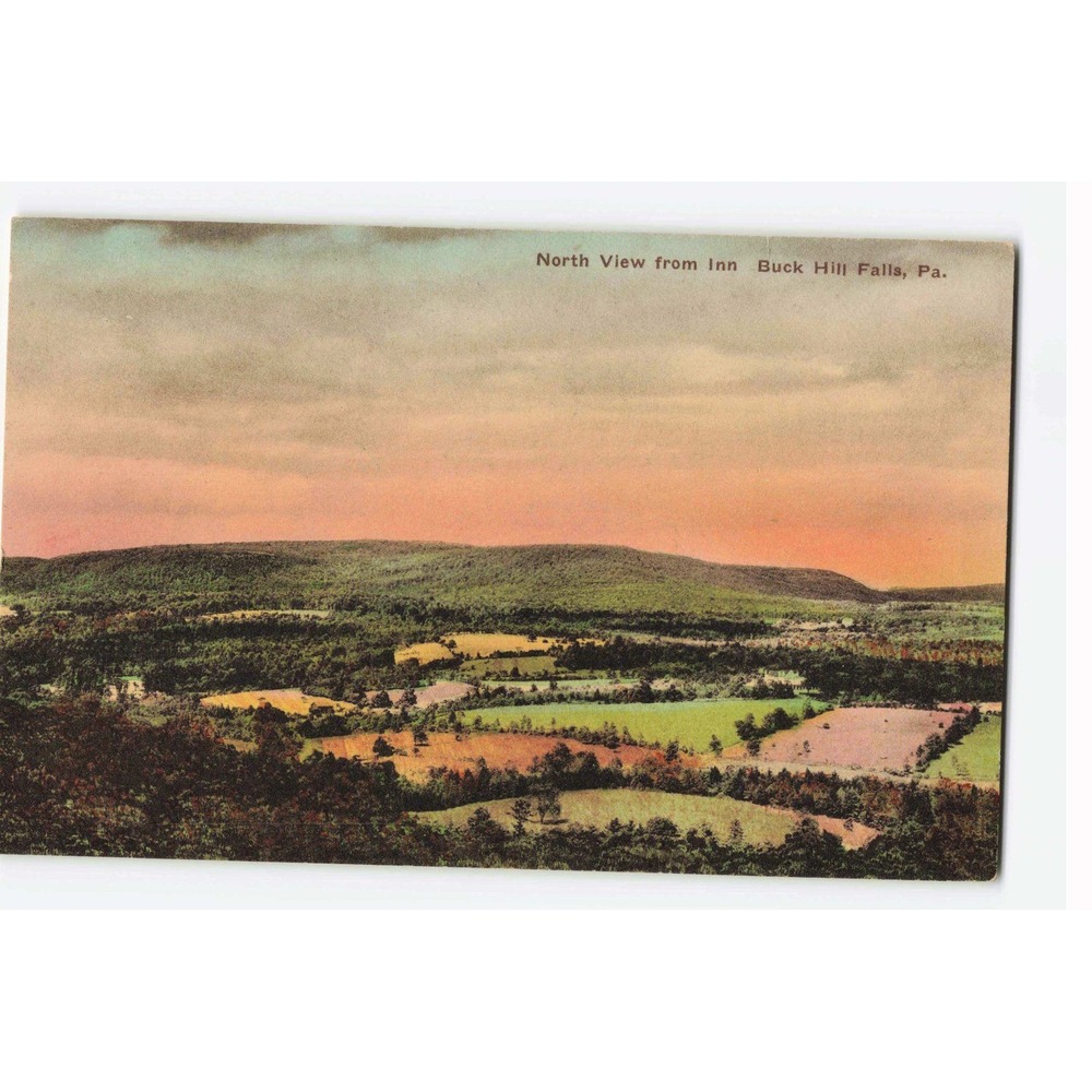Vintage North View from Inn Buck Hill Falls PA Hand-Colored Postcard Albertype